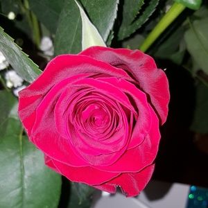 Meet your Posher, Hilda y jairo